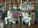 Carousel Works Outside Row Jumper